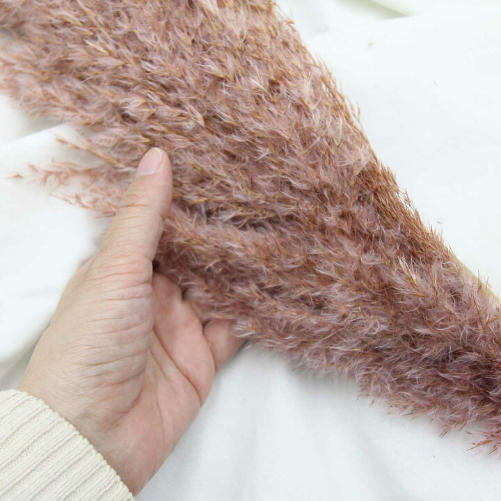 楽天市場 楽天スーパーsale パンパスグラス ドライフラワー プルームリード ナチュラルピンク 穂物 ブーケ 花束 スワッグ 材料 大地農園 ブルームリード 5本入り Flower Parts Shop