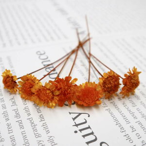 hCt[ ԍ  }[Kbg 6{ hCt[ Iׂ 7F ԍ nhCh nhChANZT[ n[oE t[Go[  W  f  ANZT