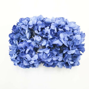 ドライフラワー 青の人気商品 通販 価格比較 価格 Com ドライフラワー 青の人気商品 通販 価格比較 価格 Com
