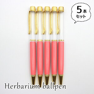 n[oE{[y 5{Zbg V^Cv nhCh Lbg { R[sN