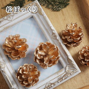 yzhCt[  ڂ S[h NX}X  Xmas c[  S q nhCh VRf Rf  A  CeA fBXvC Bep 