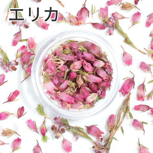 ymflowerR{z GJ hCt[  P[X R VR  Ԃт sN nhCh  W ANZT[ A {  t wAANZT[