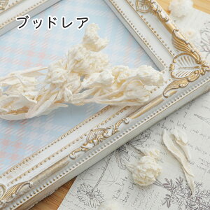 yz hCt[ ubhA ItzCg ؍ {^jJ G CeA R VR [X XbO EGfBO ANZT[ nhCh IWi Ntg | i