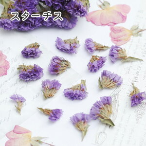 yzIyVX[p[SALEz hCt[ ԍ  X^[`X ԍ  W t[AWg@n[oE@ԍށ@[X@nhChANZT[@nhC