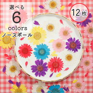 【押し花 レジン封入】ノースポール 12枚 台紙シート カラバリ 全6色 小分け ドライフラワー レジン レジ…