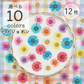 台紙シート 押し花 ドライフラワー ヒメジョオン 12枚入り レジン 封入素材 花材 ハンドメイド お花 推し活 花びら スマホケース デコ ヘアクリップ アクセサリー キーホルダー チャーム カラフル ビビッド 制作