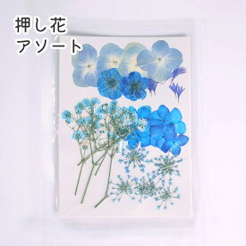 【楽天スーパーSALE】青系セット 押し花 素材 ドライフラワー アソート ブルー デコパーツ アクセサリー 封入 スマホケース ハンドメイド レジン 爽やか 涼しげ お花 花材 アソート 数種類 上品 華やか インテリア