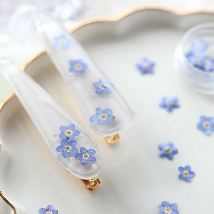 楽天市場】ドライフラワー 花材【押し花 レジン封入】忘れな草 ミニ 忘れな草 ホワイト ブルードライフラワー パーツ 素材 レジン 青 白