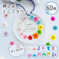 【押し花 レジン封入】ミニフラワー 各5枚 12色 セット ケース入り ネイル ネイルアート チップ 花材 ミ…