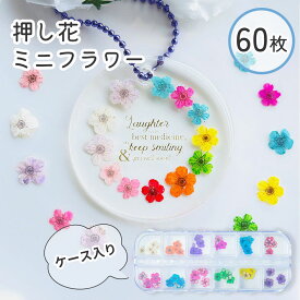 【押し花 レジン封入】ミニフラワー 各5枚 12色 セット ケース入り ネイル ネイルアート チップ 花材 ミニ 花 小分け 少量 アクセサリー ハンドメイドアクセサリー 素材 カラフル 手芸 ネックレス ピアス レジン 封入素材