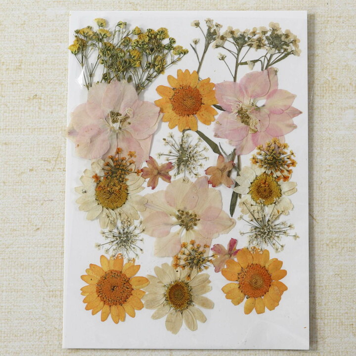 楽天市場 押し花 素材 ドライフラワー 押し花 アソート オレンジ ホワイト ピンク デコパーツ アクセサリー レジン レジン封入 A31 Croccha Shop 楽天市場店