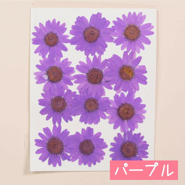 ◎押し花素材 パープル◎｜パール