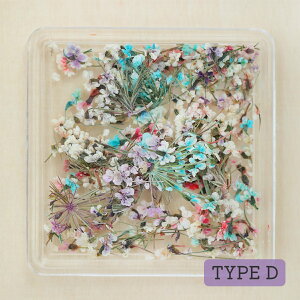 yhCt[ Wz ԍ [Xt[ MIX  ԍ lpP[X 3 ׂ  W ޗ nhCh | WANZT[ nhChANZT[ w