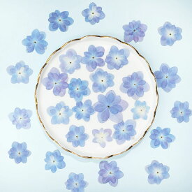 ドライフラワー 花材 押し花 八重咲き 紫陽花 パープル 10枚 mflower ドライフラワー 日本製 レジン 封入 花材 素材 ハンドメイド アクセサリー ピアス ネックレス スマホケース 花材