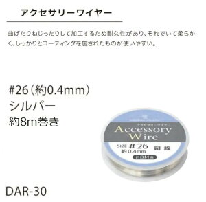 ANZT[C[ #26 TCY0.4mm W fBbvA[gW C[A[g Ntg nhCh  Gx[ FY тɂ WNtg