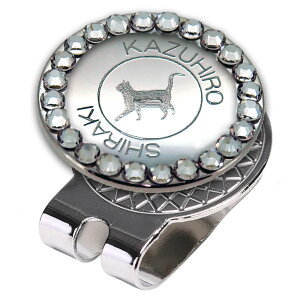  St}[J[ yAJV[gwA[z KXCXg[   Vo[ [֑ nhCh v[g Mtg }OlbgnbgNbvt