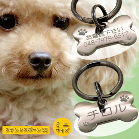 【楽天1位】 迷子札 ミニサイズ ペットタグ 愛犬用に! ステンレスボーンSS 刻印可能 ネームタグ 両面シルエット 肉球シルバー 小型犬 送料無料 犬 ネームタグ