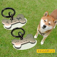 【楽天1位】 【訳あり アウトレット】 迷子札 ペットタグ 愛犬用に! ステンレスボーンS 両面刻印可能 シ…
