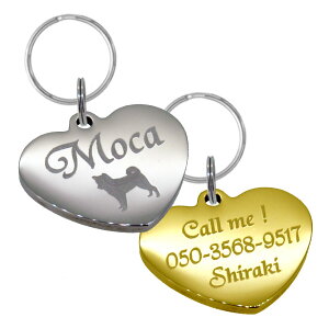 qD  XeX n[g S^Cv(24-21mm)ybg hbO l[ ^O p! ܂ӂ  l[v[g ^ pANZT[ XeX^O Lp