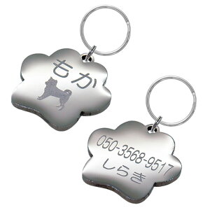 qD  XeX v[g STCY  hbO^O   ʍ ^ y Vo[ XeX nhCh