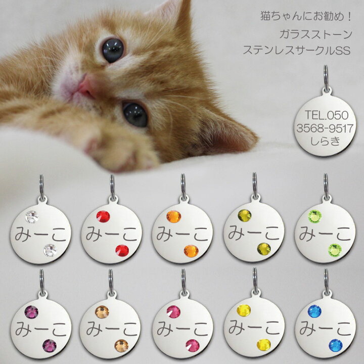楽天市場】迷子札 ガラスストーン 10色展開 ネコ 猫ちゃん用 極小 