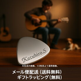 オリジナル ネーム 名入れ 刻印 ギター ピック ステンレス製 2枚セット ギフト 送料無料 メール便 プレゼント用 音楽好きにお勧め 名入れ ギターピック 名入れ ピック