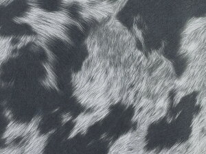 烌U[nyє璲 O[z[FUR-02]
