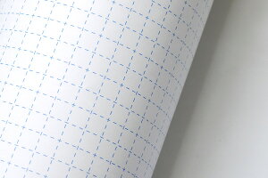 y100×10cmJbgnzʐڒV[g [WS-100-C10]