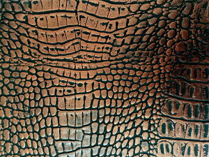 jv 烌U[nyb`NR_C uYz[CROCO-RC-2]