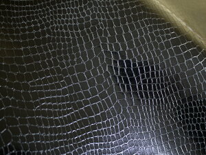 򃏃j 烌U[n  [ERIZA-1]