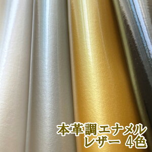 yTvnz烌U[n Ryv GizS4F [AURA-SM]