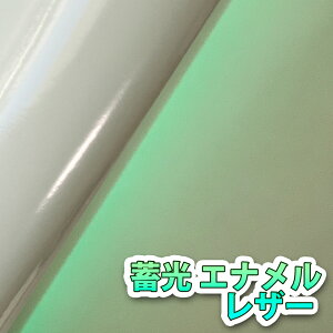 yTvnz~ Gi 烌U[nyz [GLOW-SM-01]