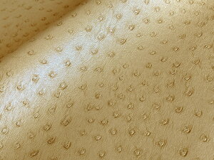 烌U[n R I[Xgb` x[W [OST-01]