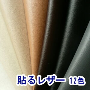 ֗ȓ\郌U[iڒV[j琶nyR LCh S12Fz [SLPROF-WIDE]
