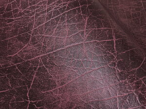 烌U[n R j[AeB[N _[Nbh [ANNT-N-06]