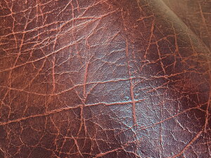 烌U[n R j[AeB[N bhuE[ANNT-N-04]