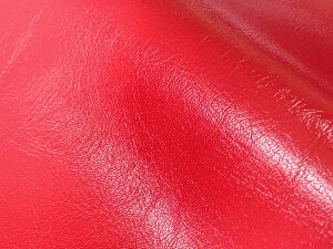 y122×20cmJbgnz烌U[n Fn n Ryc S10Fz[EURO-C20]