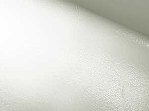 y122×20cmJbgnz烌U[n Fn n Ryc S10Fz[EURO-C20]
