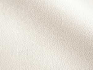 Jt 烌U[n R n AC{[zCg [MASTER-X-003]