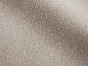 Jt 烌U[n R n EH[O[ [MASTER-X-005]