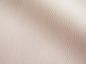 Jt 烌U[n R n sNx[W [MASTER-X-009]