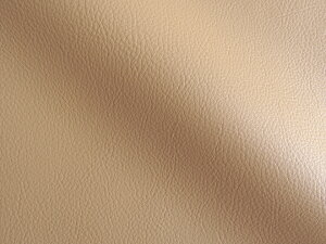 Jt 烌U[n R n  [MASTER-X-113]