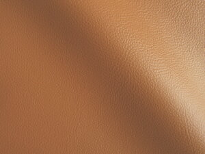 Jt 烌U[n R n ZL [MASTER-X-115]