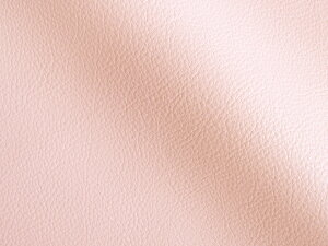 Jt 烌U[n R n F [MASTER-X-227]