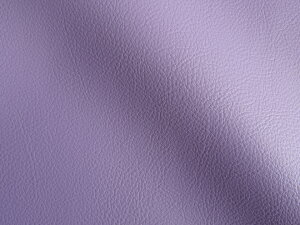 Jt 烌U[n R n p[v [MASTER-X-232]