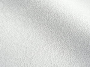 Jt 烌U[n R n zCgO[ [MASTER-X-350]