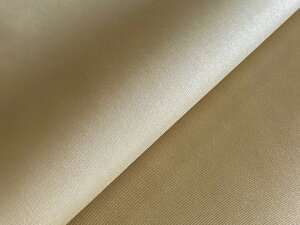 y122cm×1MPʁziCcC n n 㝛Hyx[WziAEgbgj[NY-T-01]