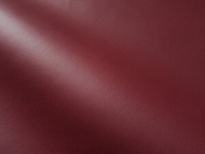 烌U[n  GW cȂ [CAP2-8]