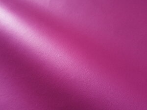 烌U[n  [YsN cȂ [CAP2-30]