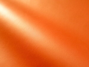 烌U[n  IW cȂ [CAP2-38]